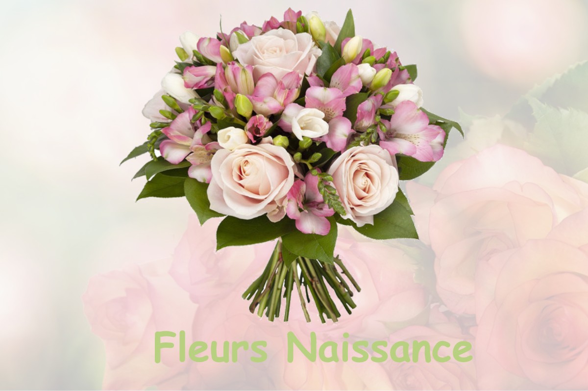 fleurs naissance JOUY-EN-PITHIVERAIS