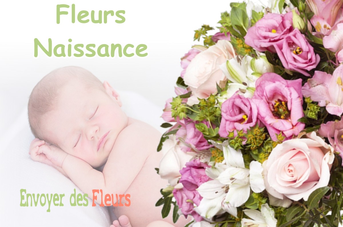 lIVRAISON FLEURS NAISSANCE à JOUY-EN-PITHIVERAIS